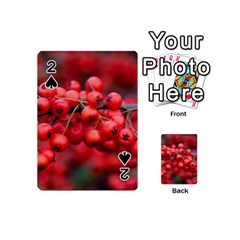 Red Berries 1 Playing Cards 54 (mini)  by trendistuff