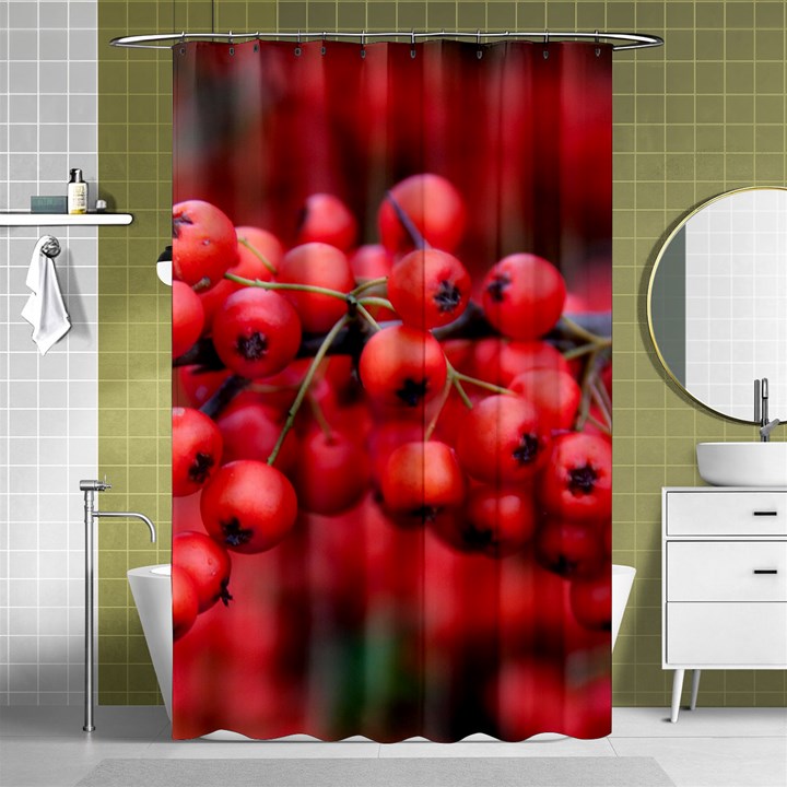 RED BERRIES 1 Shower Curtain 48  x 72  (Small) 