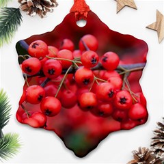 Red Berries 1 Ornament (snowflake)