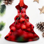 RED BERRIES 1 Ornament (Christmas Tree)  Front