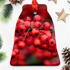 Red Berries 1 Ornament (bell) by trendistuff