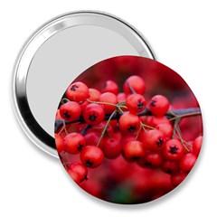 Red Berries 1 3  Handbag Mirrors by trendistuff