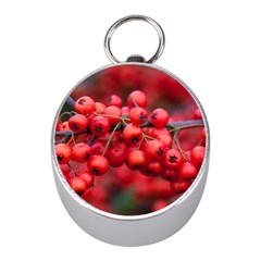 Red Berries 1 Mini Silver Compasses by trendistuff