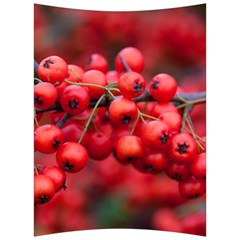 Red Berries 1 Back Support Cushion by trendistuff