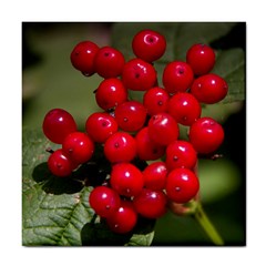 Red Berries 2 Tile Coasters by trendistuff