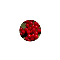 Red Berries 2 1  Mini Magnets by trendistuff