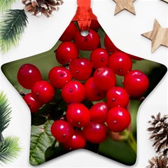 Red Berries 2 Ornament (star) by trendistuff