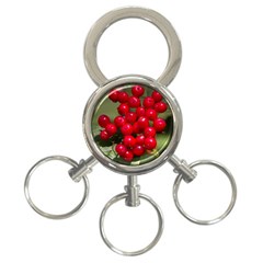 Red Berries 2 3-ring Key Chains by trendistuff