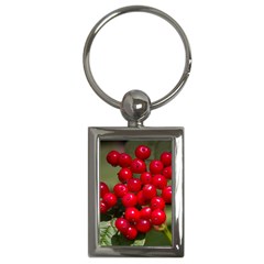 Red Berries 2 Key Chains (rectangle)  by trendistuff