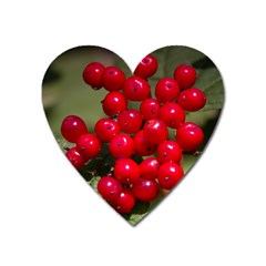 Red Berries 2 Heart Magnet by trendistuff