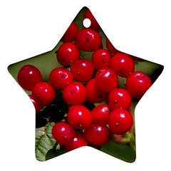 Red Berries 2 Star Ornament (two Sides) by trendistuff