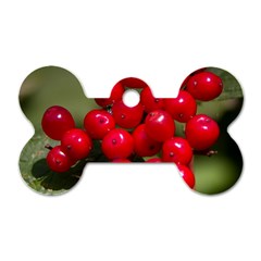 Red Berries 2 Dog Tag Bone (one Side) by trendistuff