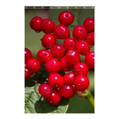 Red Berries 2 Shower Curtain 48  X 72  (small)  by trendistuff