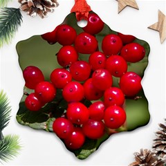 Red Berries 2 Ornament (snowflake)