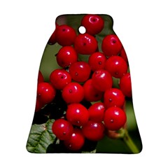 Red Berries 2 Ornament (bell) by trendistuff