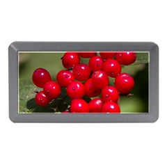 Red Berries 2 Memory Card Reader (mini) by trendistuff