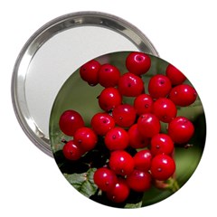 Red Berries 2 3  Handbag Mirrors by trendistuff