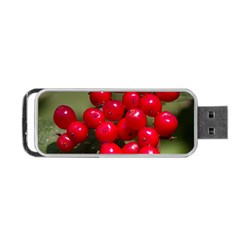 Red Berries 2 Portable Usb Flash (two Sides) by trendistuff