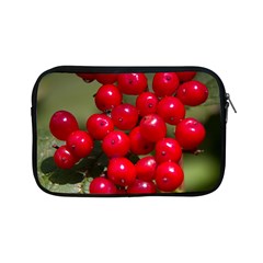 Red Berries 2 Apple Ipad Mini Zipper Cases by trendistuff