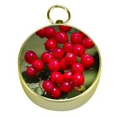 Red Berries 2 Gold Compasses by trendistuff