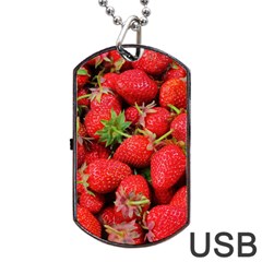 Strawberries 1 Dog Tag Usb Flash (one Side) by trendistuff