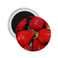 Strawberries 3 2 25  Magnets by trendistuff