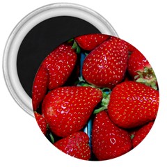 Strawberries 3 3  Magnets by trendistuff