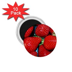 Strawberries 3 1 75  Magnets (10 Pack)  by trendistuff