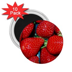 Strawberries 3 2 25  Magnets (10 Pack)  by trendistuff