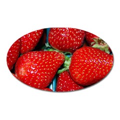 Strawberries 3 Oval Magnet by trendistuff