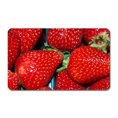 Strawberries 3 Magnet (rectangular) by trendistuff