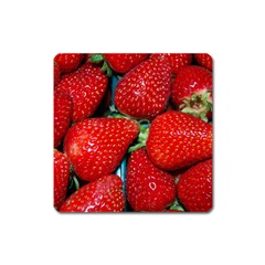 Strawberries 3 Square Magnet by trendistuff