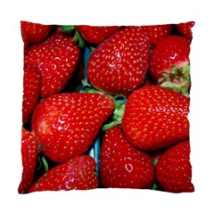 Strawberries 3 Standard Cushion Case (two Sides) by trendistuff