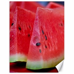 Watermelon 1 Canvas 18  X 24   by trendistuff