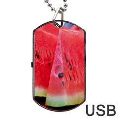 Watermelon 1 Dog Tag Usb Flash (two Sides) by trendistuff