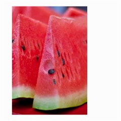 Watermelon 1 Small Garden Flag (two Sides) by trendistuff