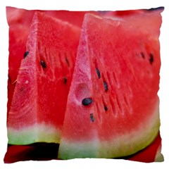 Watermelon 1 Large Cushion Case (one Side) by trendistuff