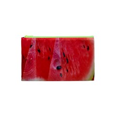 Watermelon 1 Cosmetic Bag (xs)