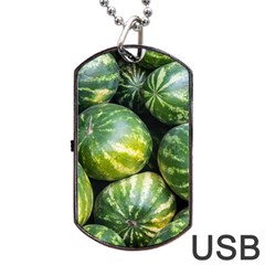 Watermelon 2 Dog Tag Usb Flash (two Sides) by trendistuff