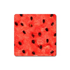 Watermelon 3 Square Magnet