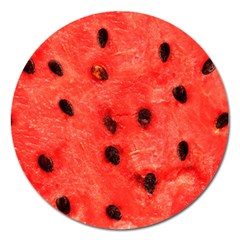 Watermelon 3 Magnet 5  (round) by trendistuff