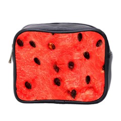 Watermelon 3 Mini Toiletries Bag 2-side by trendistuff