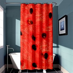 Watermelon 3 Shower Curtain 36  X 72  (stall)  by trendistuff