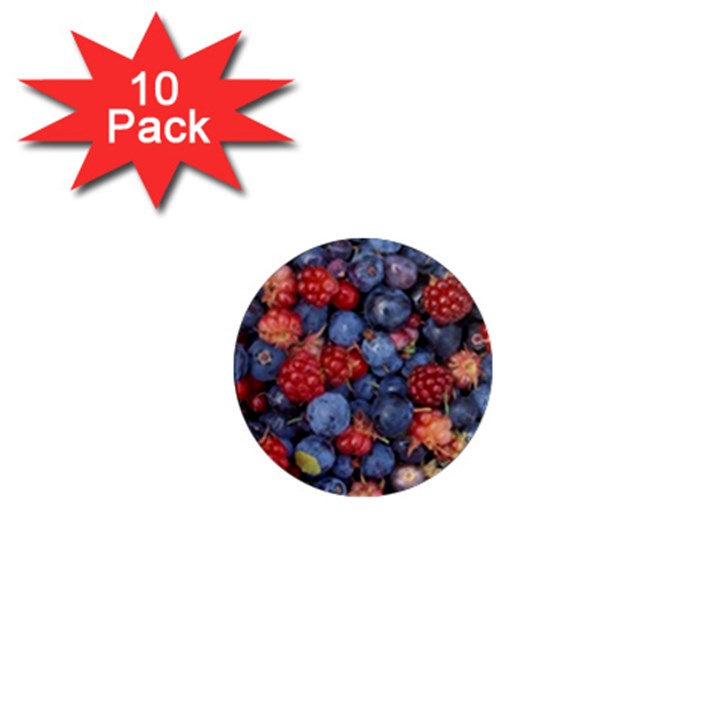 WILD BERRIES 1 1  Mini Magnet (10 pack) 