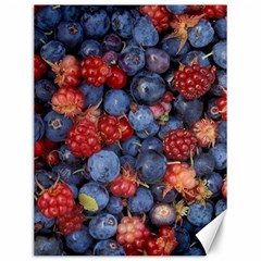 Wild Berries 1 Canvas 12  X 16   by trendistuff