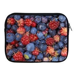 Wild Berries 1 Apple Ipad 2/3/4 Zipper Cases by trendistuff