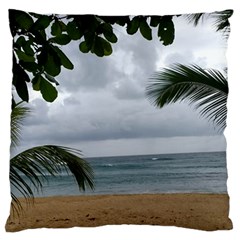 Through The Trees  Large Flano Cushion Case (two Sides) by StarvingArtisan