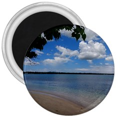 Isla Puerto Rico 3  Magnets by StarvingArtisan