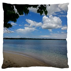 Isla Puerto Rico Standard Flano Cushion Case (two Sides) by StarvingArtisan