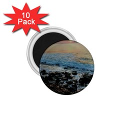 Aquadillia Puerto Rico  1 75  Magnets (10 Pack)  by StarvingArtisan